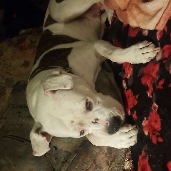 $15 minimum Sale - Picture 16 of 16